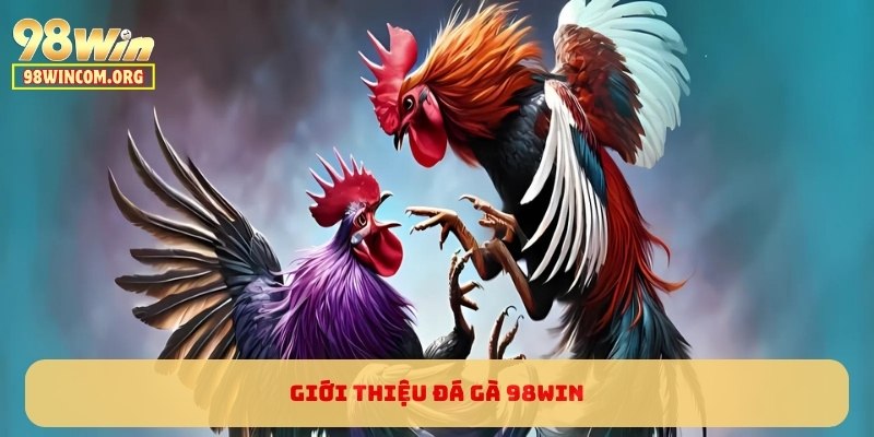 Giới thiệu Đá Gà 98WIN
