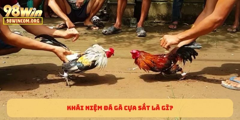Khái niệm đá gà cựa sắt là gì?